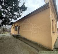 A family house in Neded with an ochre facade, near a tree and a grassy plot.