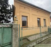 A family house in Neded with a brick facade, a green fence, and a lion statue.