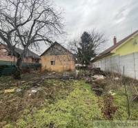 Courtyards of a family house in Neded, trees, grass, and a concrete fence.