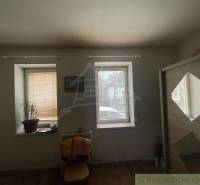 A room with two windows, a wooden decor floor, a plant, and a chair.