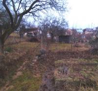 Gardens in Nové Mesto nad Váhom with trees and sparse vegetation on a winter day.