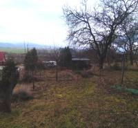 A view of winter gardens in Nové Mesto nad Váhom with bare trees and grass.