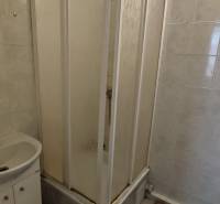 Bathroom with a shower and a small sink, suitable for a 3-room apartment.