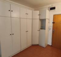 A hallway of a 3-room apartment with a white wardrobe and brown doors.