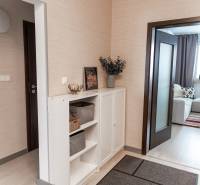 Interior of a 4-room apartment with light furniture, carpet, and houseplants.
