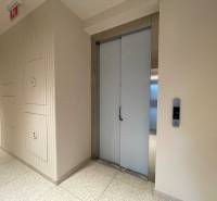 Shared hallway with an elevator in an apartment building, neutral walls and light flooring.