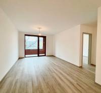 Living room in a two-room apartment with a wood-patterned floor and a large window.