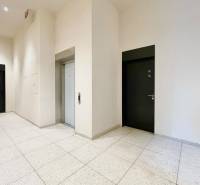 A hallway with an elevator and two black doors in a 2-room apartment.
