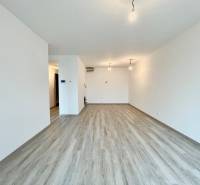 A spacious room in a 2-room apartment with a wood-patterned floor and white walls.
