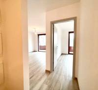 A hallway in a 2-room apartment with a wooden decor floor and light-colored walls.