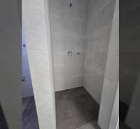 A shower enclosure in a family house, with dark tiles and light wall tiles.