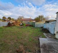 A garden at a family house on Mechenice Street in Podhorany, surrounded by fences and grass.