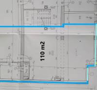 Floor plan of commercial premises with an area of 110 m², marked entrance, and precise dimensions.