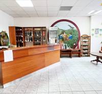 Sale One bedroom apartment, One bedroom apartment, SNP, Skalica, Slova