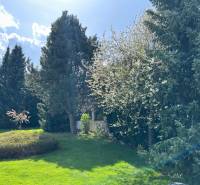 A garden with coniferous trees and flowering plants in the Star Colony in Martin, suitable for residential plots.