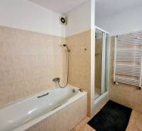 A bathroom in a 3-room apartment with a bathtub, shower, and ladder radiator.