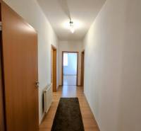 A hallway in a 3-room apartment with a wooden decor floor and a carpet strip.