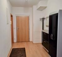 A hallway in a 3-room apartment with a wooden decor floor and black cabinets.