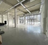 Spacious commercial spaces with large windows, concrete flooring, and light strips.
