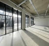 Spacious commercial spaces with large windows and views of the outdoor area.