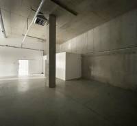 Raw industrial interior in commercial spaces with concrete walls and ceilings.