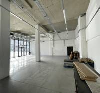 Spacious commercial spaces with large windows and high ceilings, flooring with wood decor.