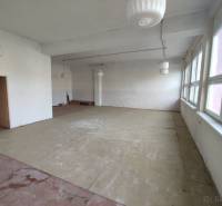 Spacious offices with large windows and wood-patterned flooring.