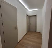 A hallway in a 2-room apartment with a wood-patterned floor and built-in lighting.