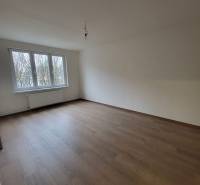 An empty room in a 2-room apartment with wood-patterned flooring and a large window.
