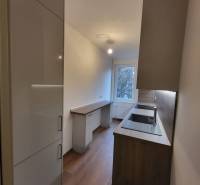 A kitchen in a 2-room apartment with a wood-patterned floor and modern cabinets.