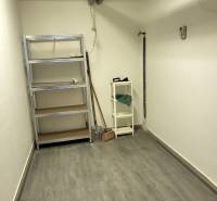 A small warehouse with metal shelves and tools, floor with wooden decor.