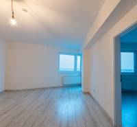 Living room in a two-room apartment with a wood-patterned floor and a large window.