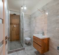 Bathroom with toilet, shower, and sink in a 2-room apartment, floor with wood decor.