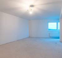An empty room with a high ceiling, white walls, and a window in a two-room apartment.