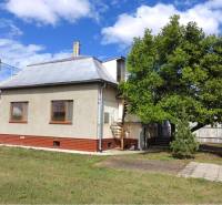 A family house in Veľké Raškovce with a metal roof, a tree, and a lawn in the garden.
