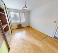 A room with a shelving cabinet, a floor with a wood decor, a 3-room apartment.