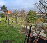Garden in Saint Peter with structures for vines and wooden swings. Plots - housing.