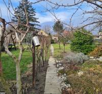 Garden in Svätý Peter with vines and ornamental plants, Land - housing.