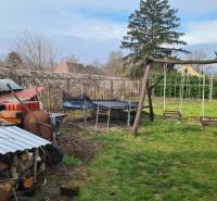 Garden in Saint Peter with swings, trampoline, and wood. Plots - housing.