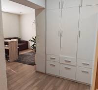 White built-in wardrobe and wooden decor flooring in a studio apartment.