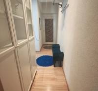 A narrow hallway in a one-room apartment with a wood-patterned floor and built-in wardrobes.