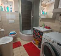 A bathroom with a shower, a washing machine, and red rugs in a studio apartment.