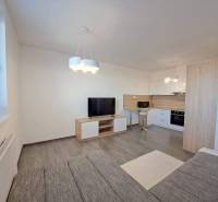 Living room in a 2-room apartment. Modern kitchen, TV, wooden decor flooring.