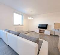 Living room in a two-room apartment with a wooden decor floor and a television.