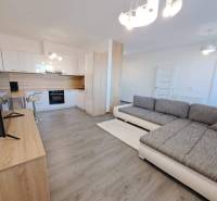 Living room with kitchen in a 2-room apartment and a floor with a wooden decor.