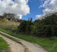 A cottage in Hlohovec, surrounded by nature and green bushes, with a visible dirt road.