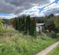 The path leads to a small cottage in Hlohovec, surrounded by dense greenery and cypress trees.