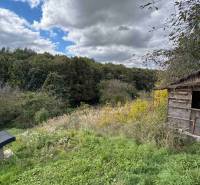 A cottage in Hlohovec surrounded by dense forest and a meadow under a cloudy sky.