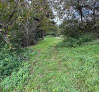The green path leads through the dense forest around Hlohovec near the cottage.