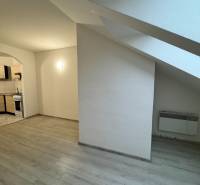 A studio apartment with a wooden floor, a kitchen, and a slanted ceiling.